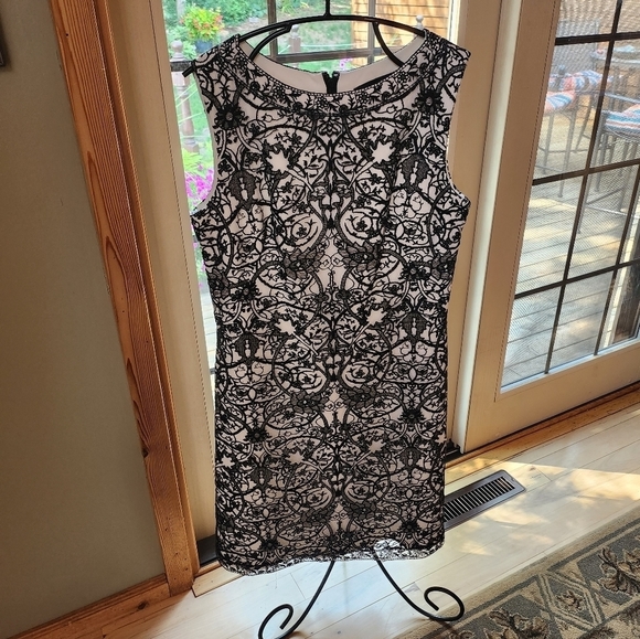 Tadashi Shoji Lacey Rayon Lined Sleeveless Sz. 12 Dress - Picture 7 of 11
